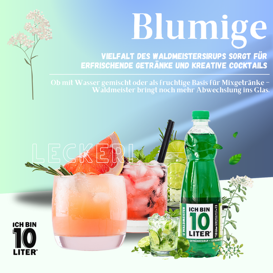 ICH BIN 10 LITER Waldmeister Sirup 6 x 0,7l