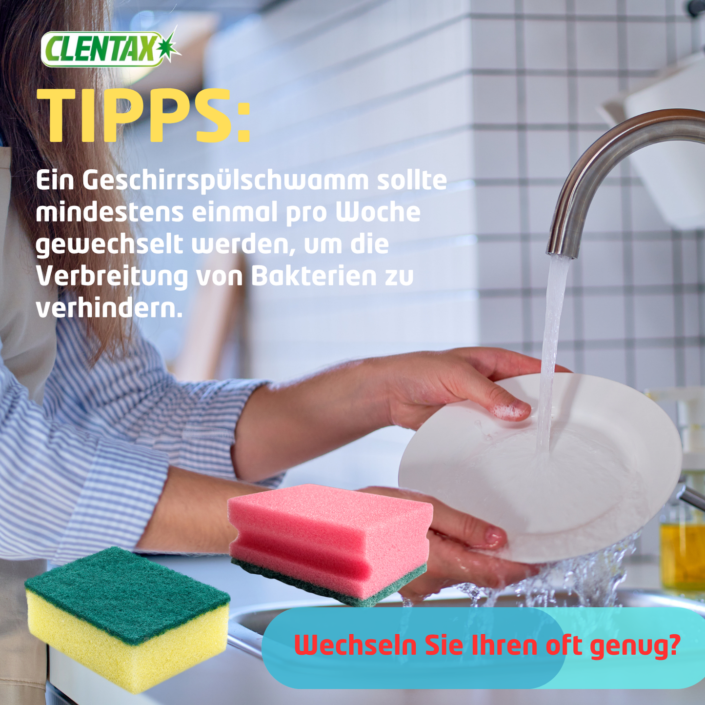 CLENTAX Geschirrschwämme 6er PK - 22er VPE