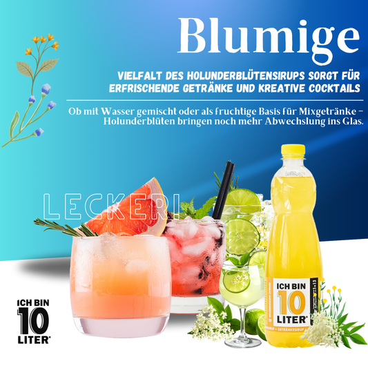 ICH BIN 10 LITER Holunderblütensirup 6 x 0,7l