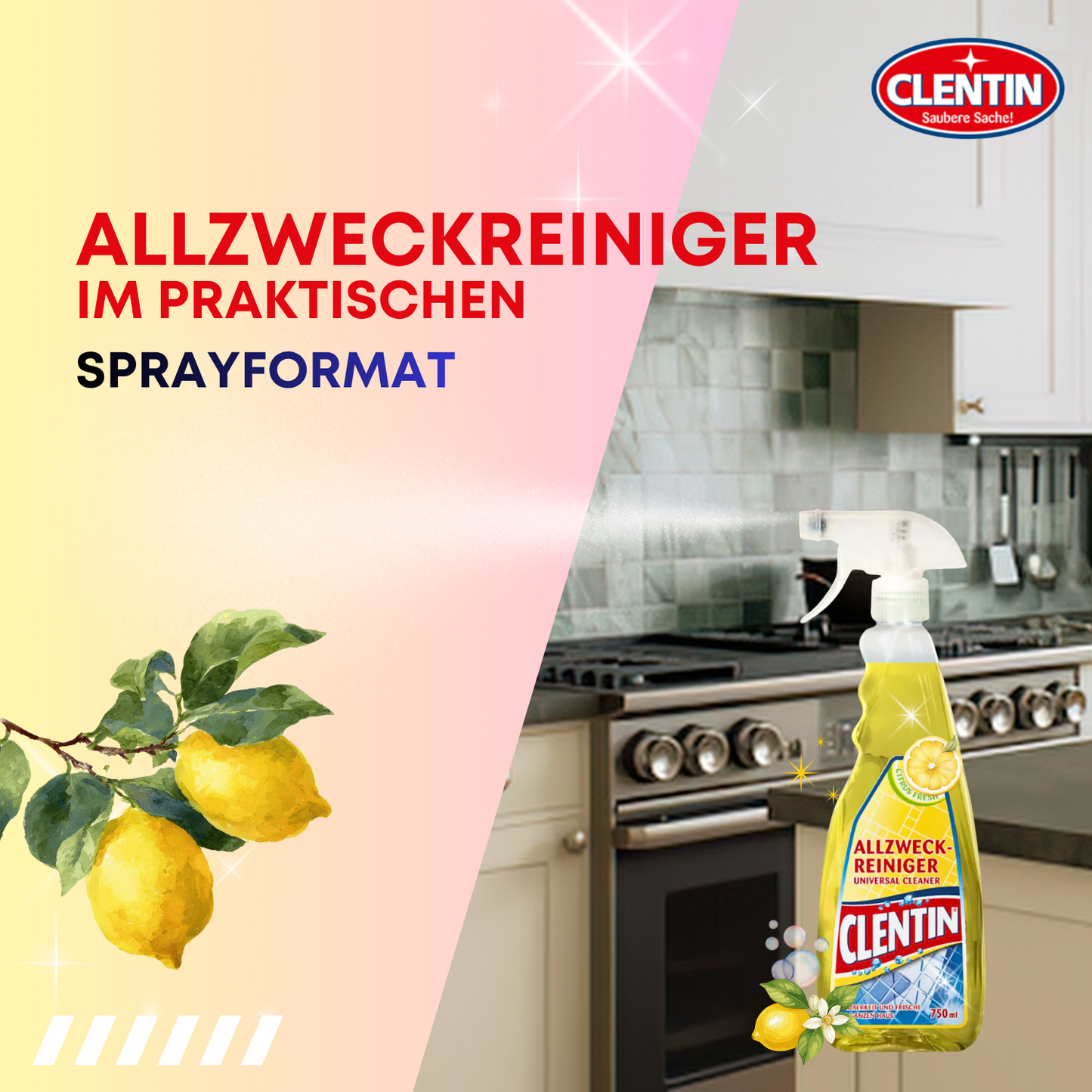 CLENTIN Allzweckreiniger Citrusfrische 12 x 750ml
