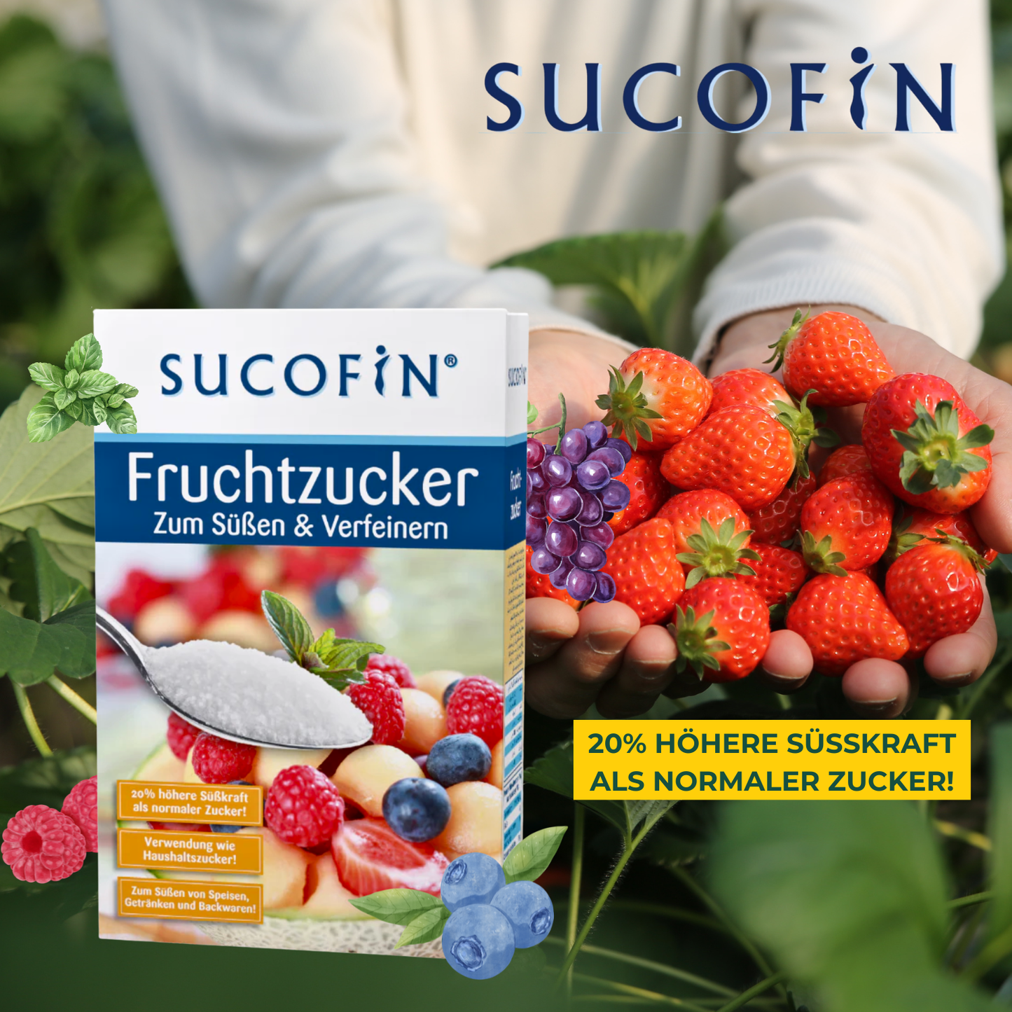 SUCOFIN Fruchtzucker 500g Frucht Zucker