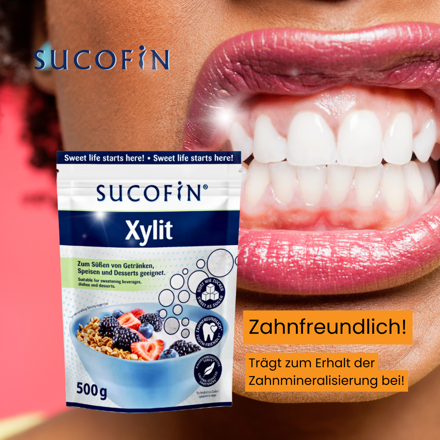 SUCOFIN Xylit 10 x 500g
