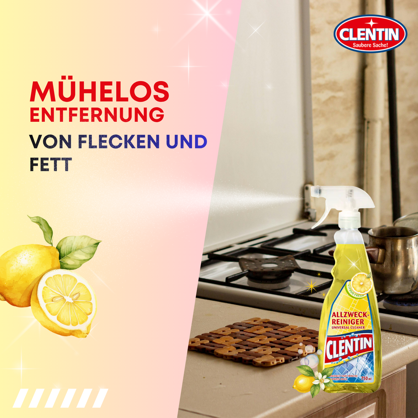 CLENTIN Allzweckreiniger Citrusfrische 12 x 750ml