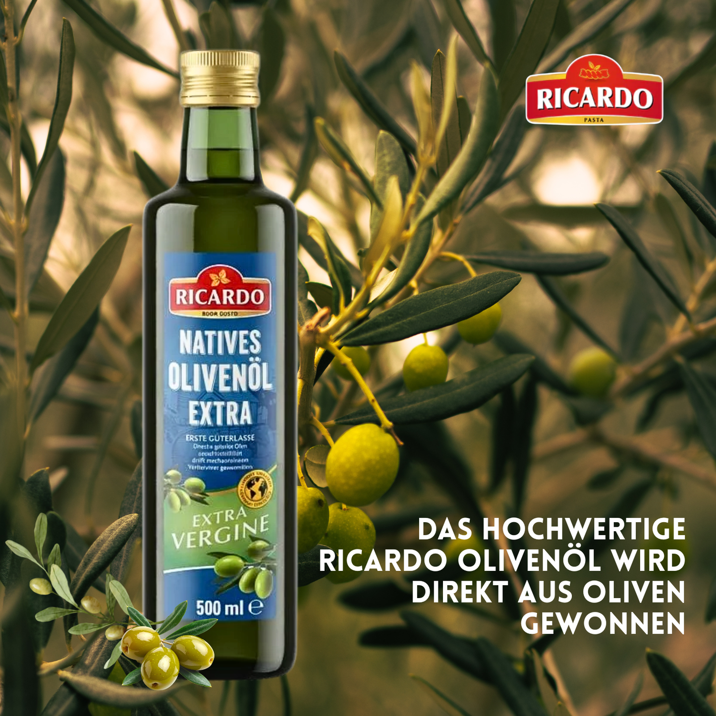 RICARDO natives Olivenöl extra 6 x 500ml