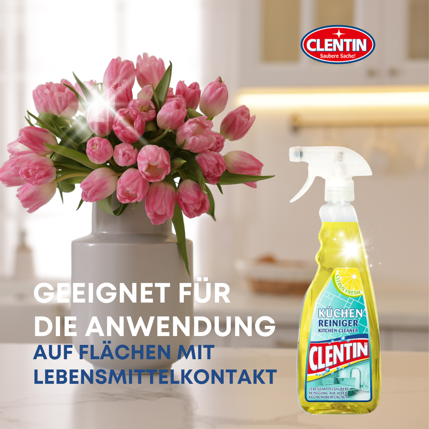 CLENTIN Küchenreiniger Zitrone 750ml