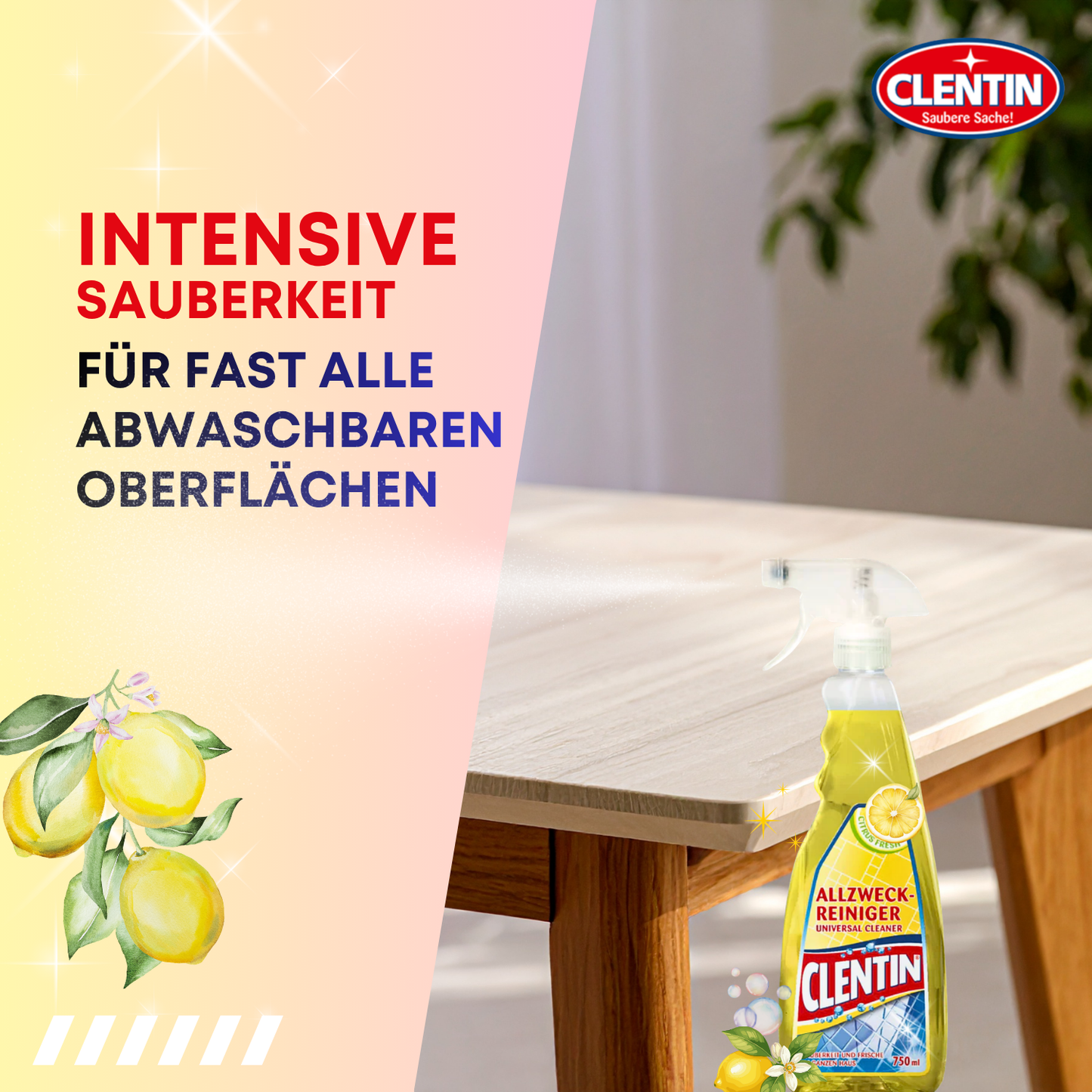 CLENTIN Allzweckreiniger Citrusfrische 12 x 750ml