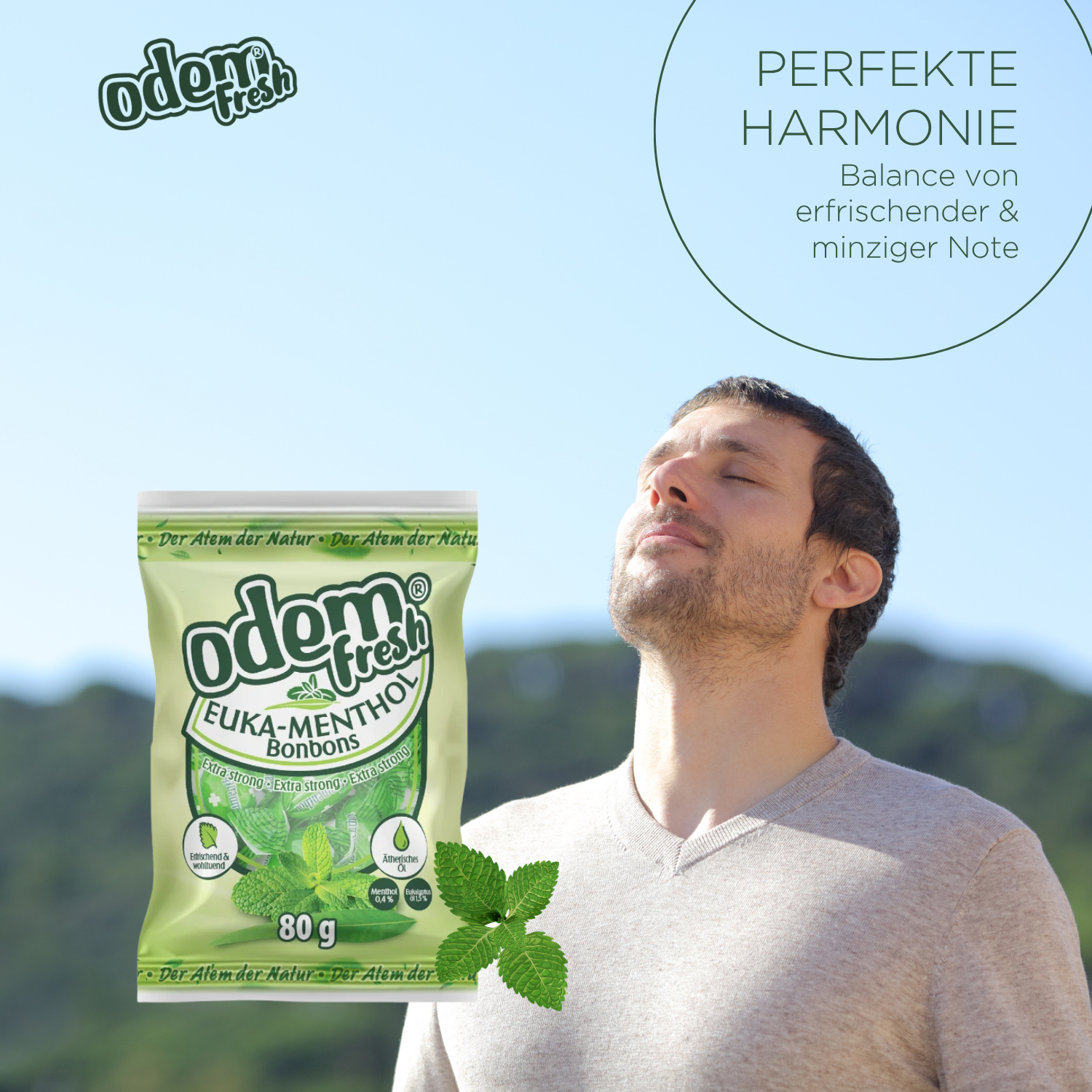 ODEM Euka Menthol Bonbons 500g