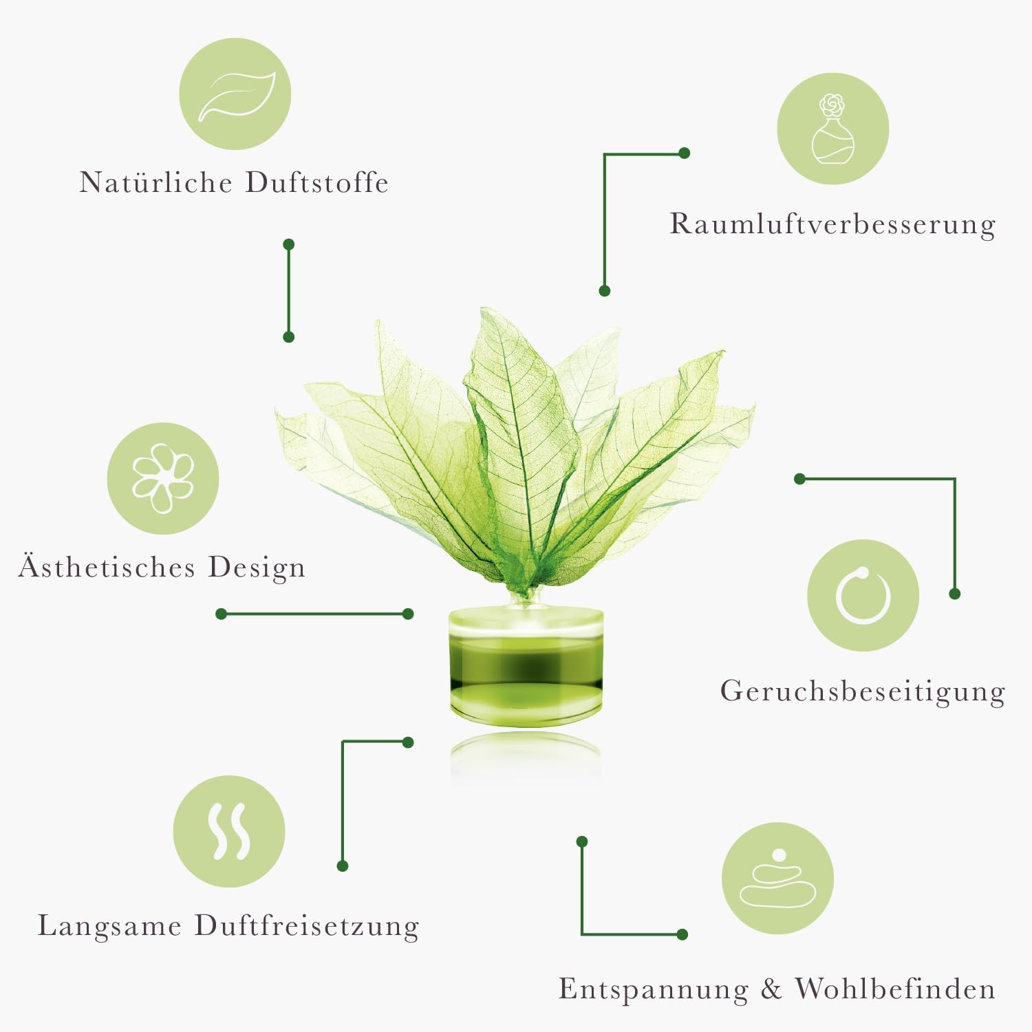 CLENTAIRE Raumduft 3 x 50ml Dreamy