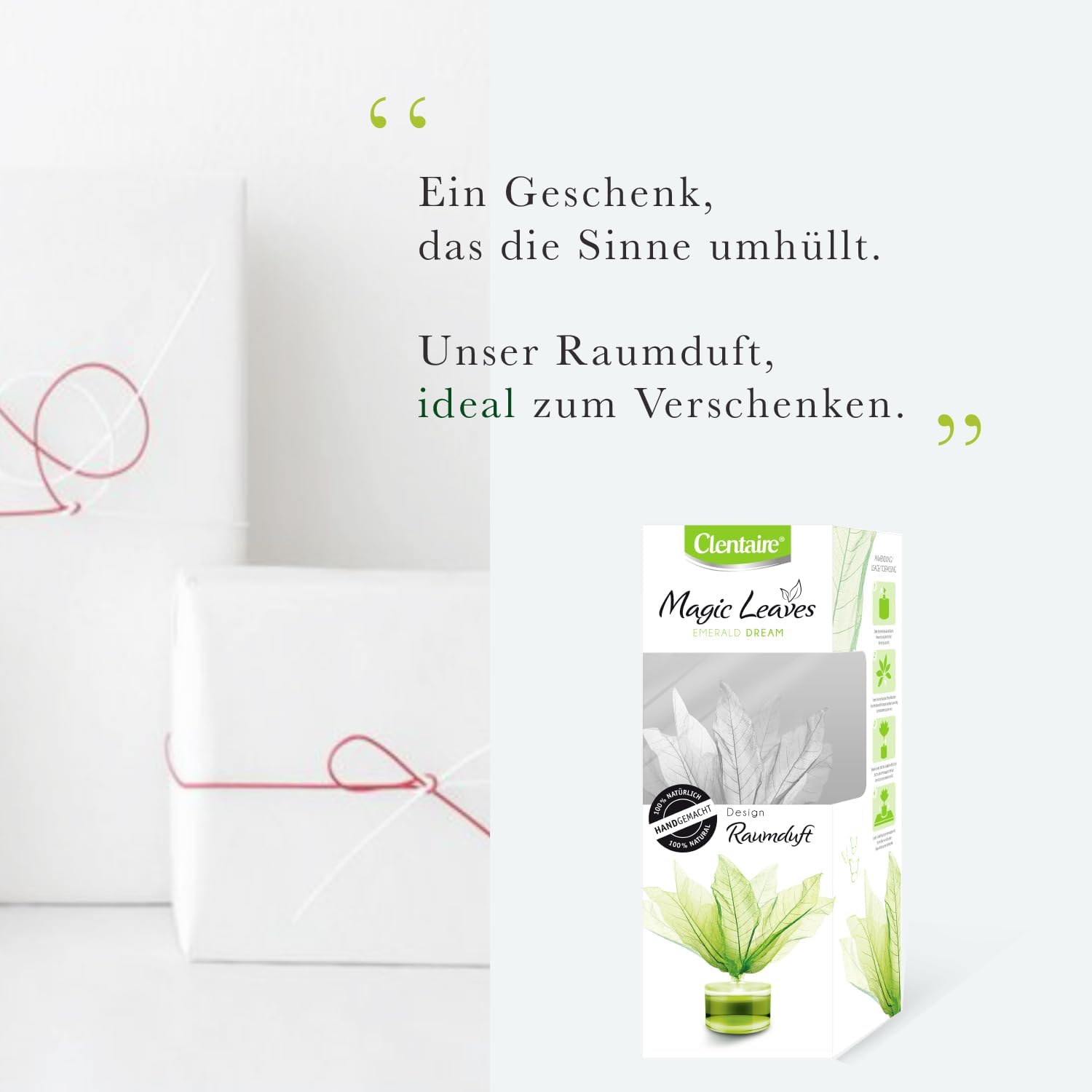 CLENTAIRE Raumduft 3 x 50ml Dreamy