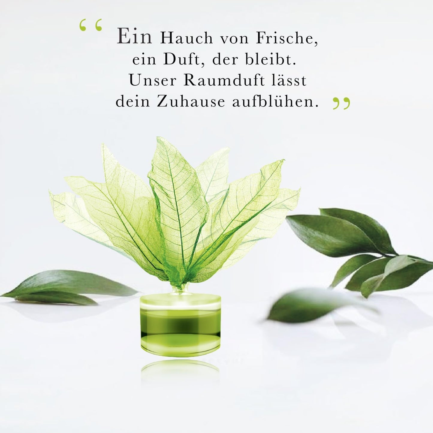 CLENTAIRE Raumduft 3 x 50ml Dreamy