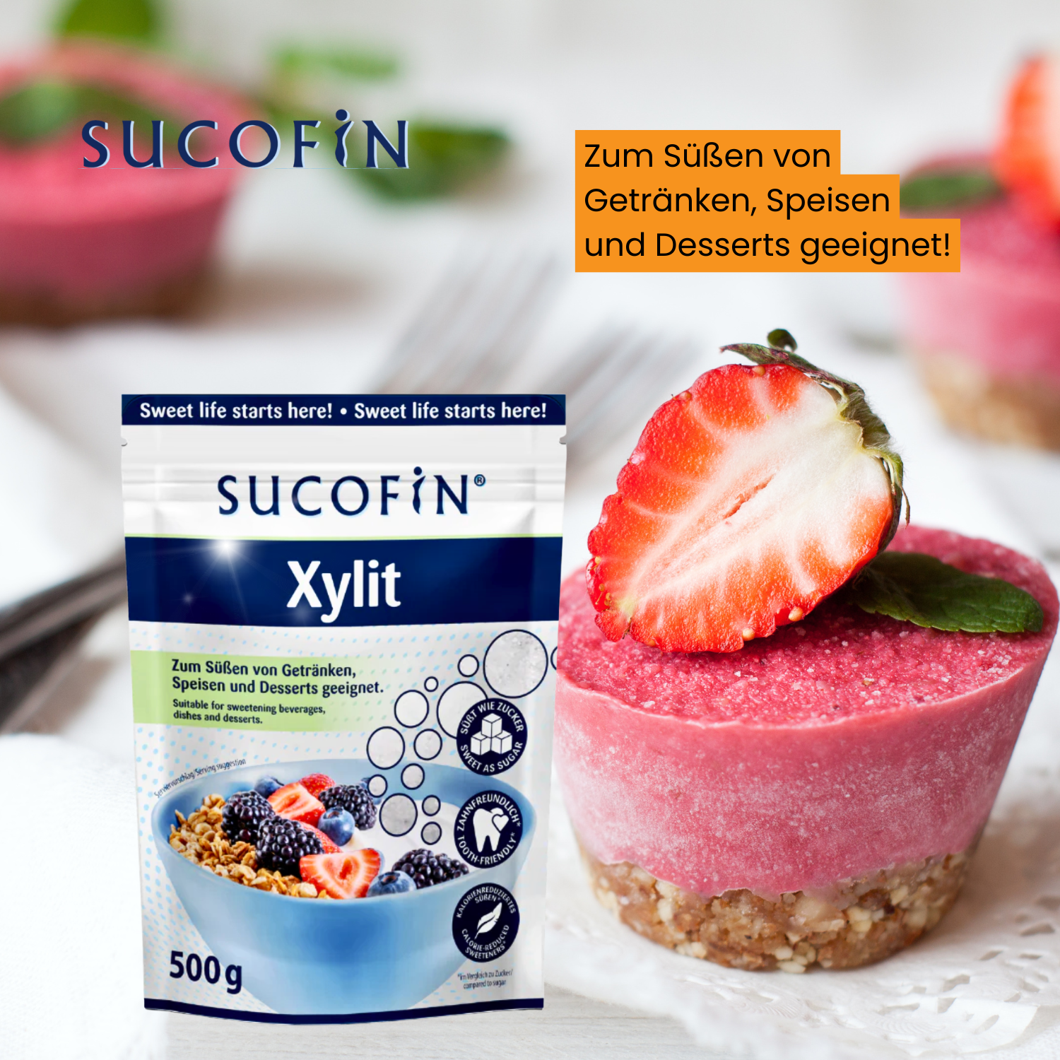 SUCOFIN Xylit 10 x 500g