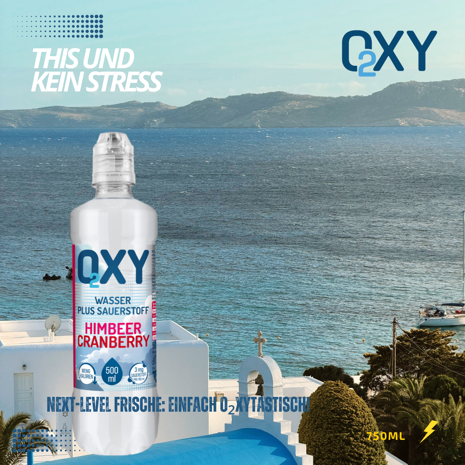 OXY O2 Himbeer Cranberry 10 x 0.75l