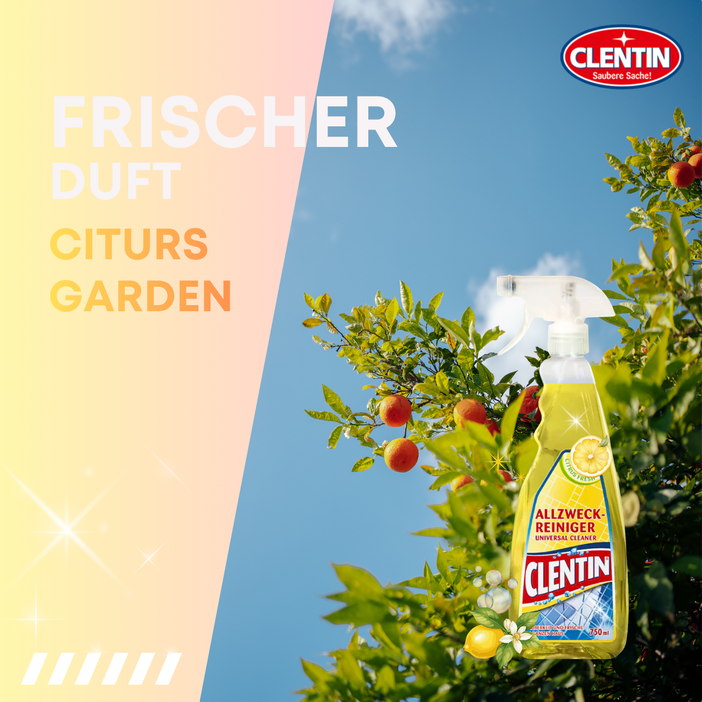 CLENTIN Allzweckreiniger Citrusfrische 12 x 750ml