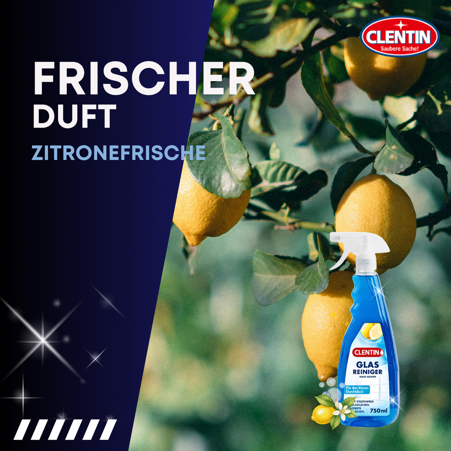 CLENTIN Glasreiniger 750ml