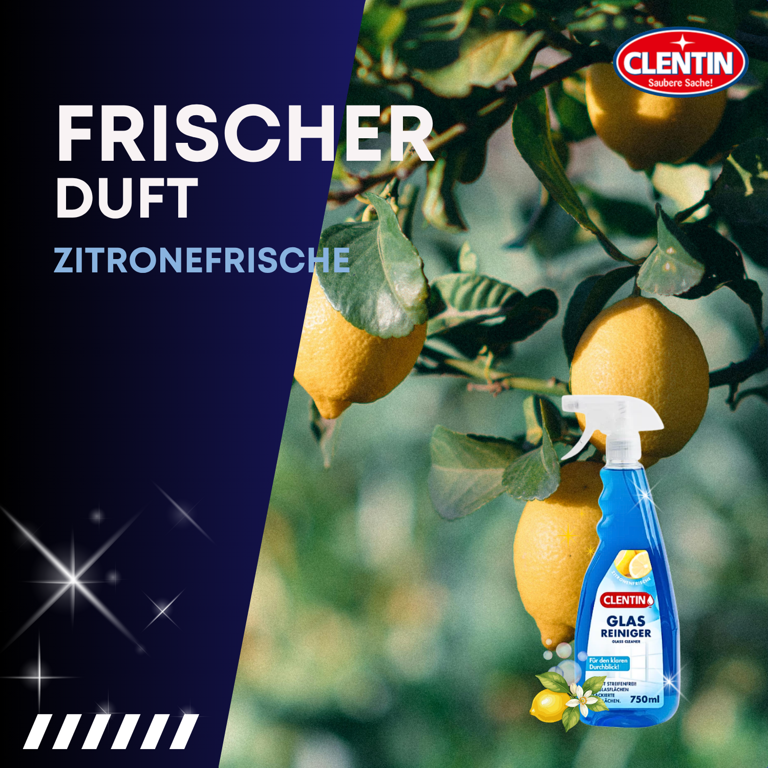 CLENTIN Glasreiniger 750ml