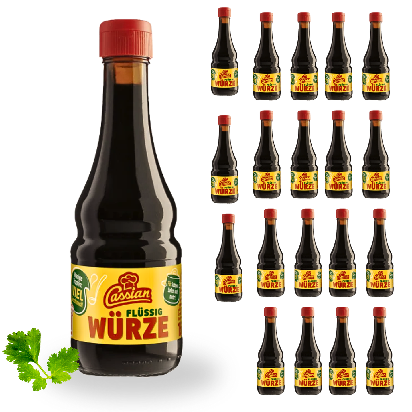 CASSIAN flüssig Würzmischung 20 x 160ml