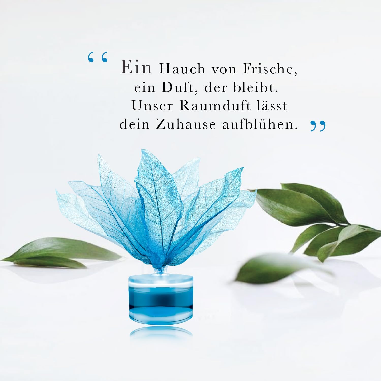 CLENTAIRE Raumduft 3 x 50ml Midnight