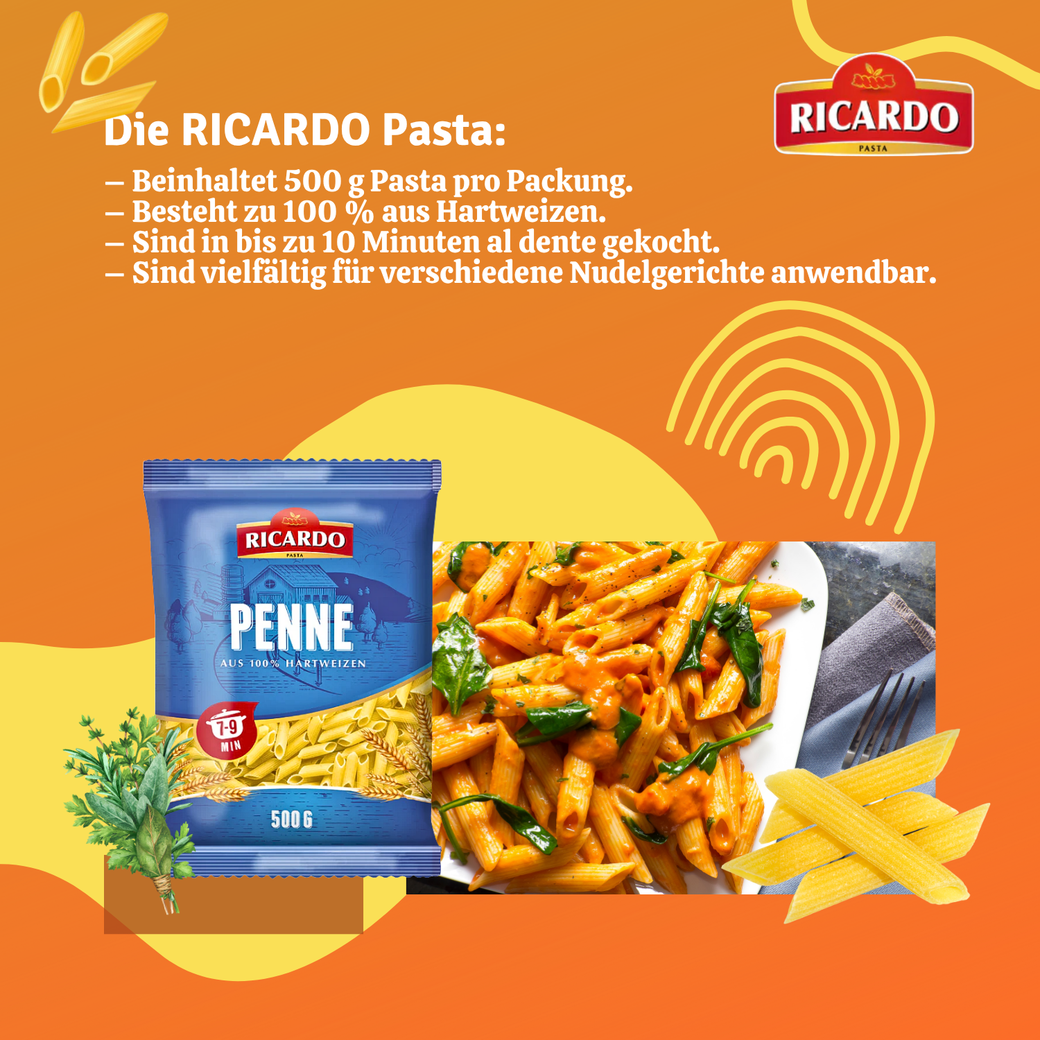 RICARDO Penne 20 x 500g