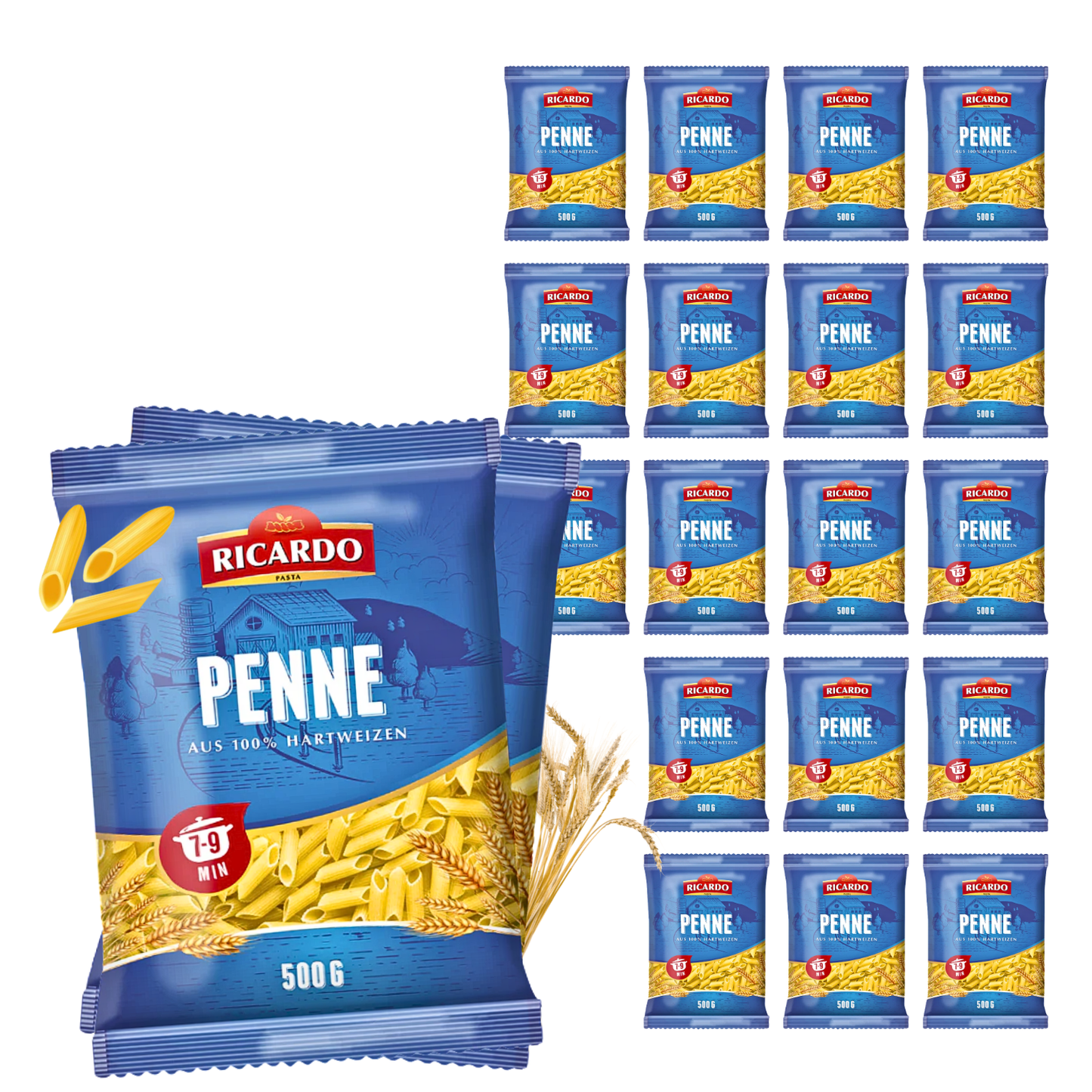 RICARDO Penne 20 x 500g