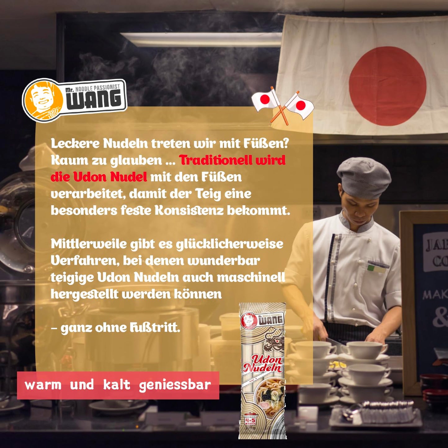 MR WANG Udon Nudeln 300g BT - 10er VPE